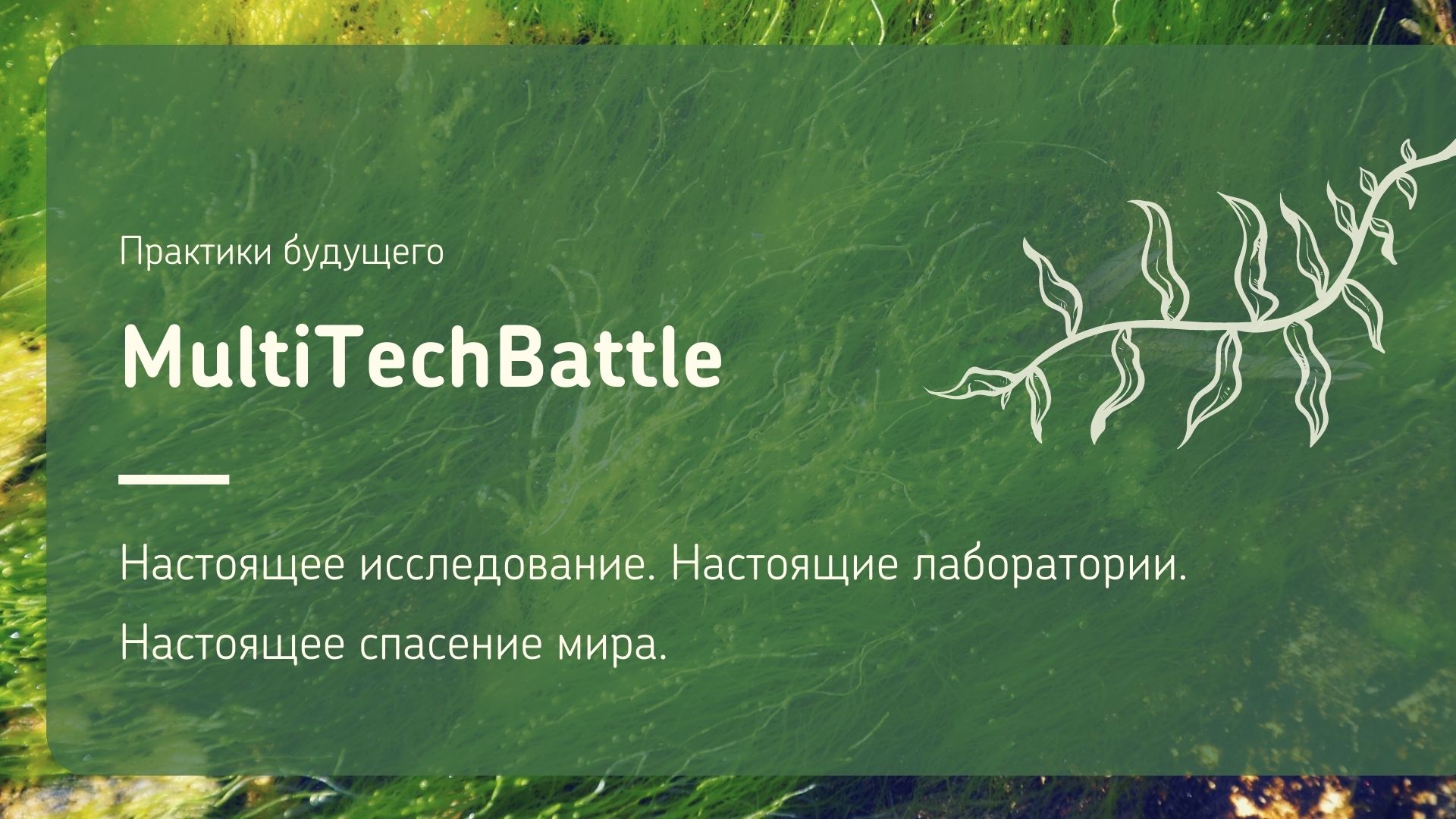 Установки для выращивания водорослей разработают на челлендже кружкового движения НТИ